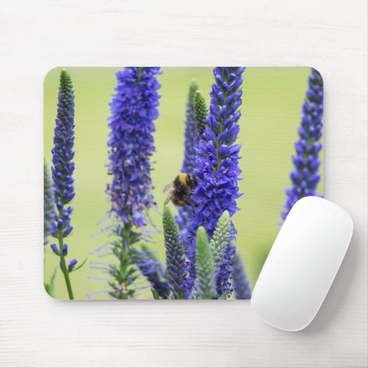 マウスパッド (マウス)