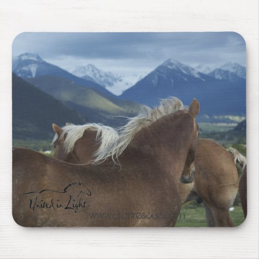 マウスパッド (正面)