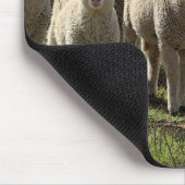 マウスパッド (コーナー)