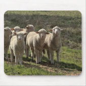 マウスパッド (正面)