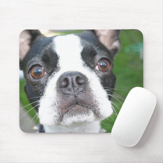 マウスパッド (マウス)