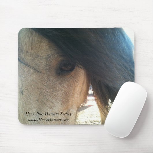 マウスパッド (マウス)