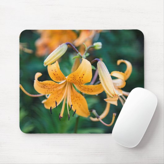 マウスパッド (マウス)