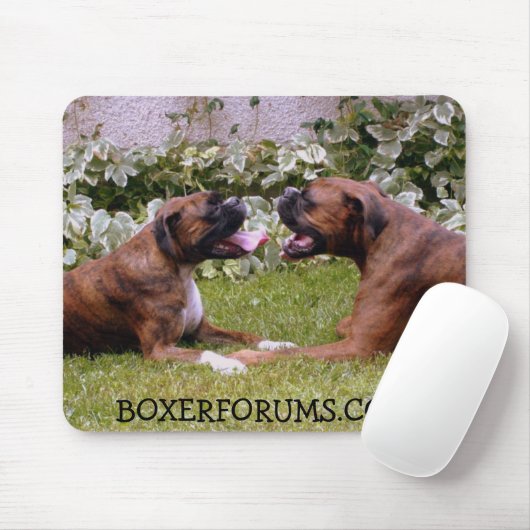 マウスパッド (マウス)