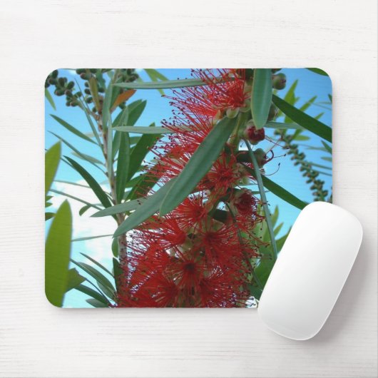 マウスパッド (マウス)