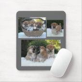 マウスパッド (マウス)