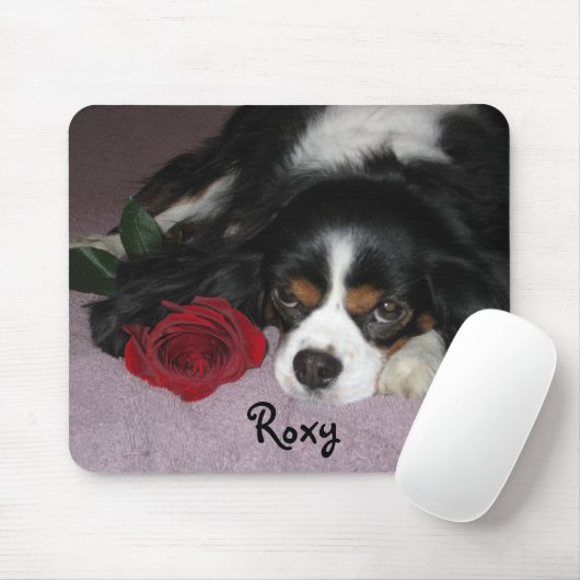 マウスパッド (マウス)