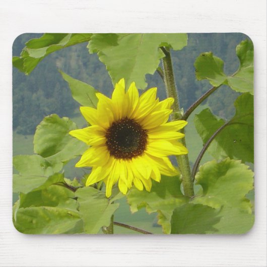 マウスパッド (正面)