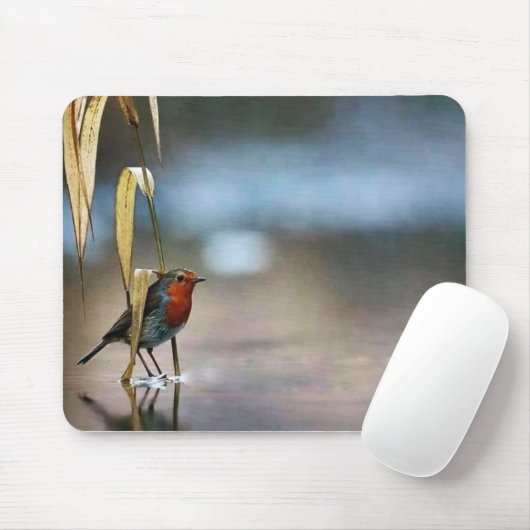 マウスパッド (マウス)