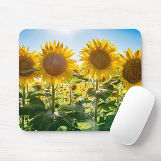 マウスパッド (マウス)