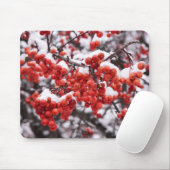 マウスパッド (マウス)