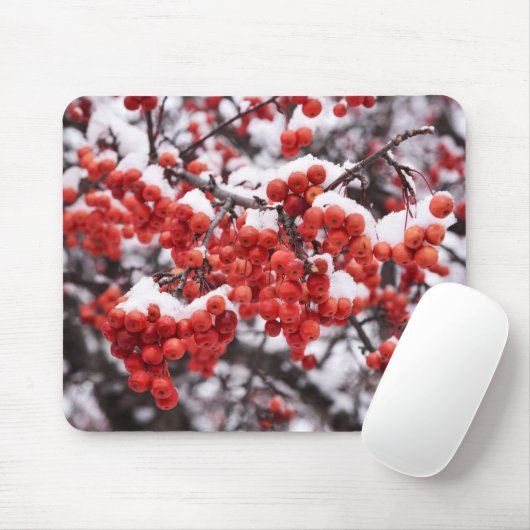 マウスパッド (マウス)