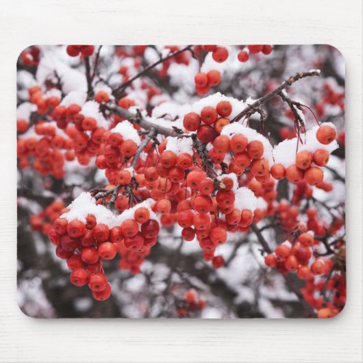 マウスパッド (正面)