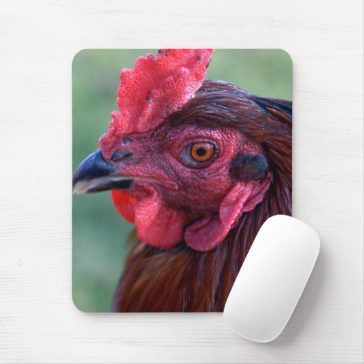 マウスパッド (マウス)