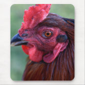 マウスパッド (正面)