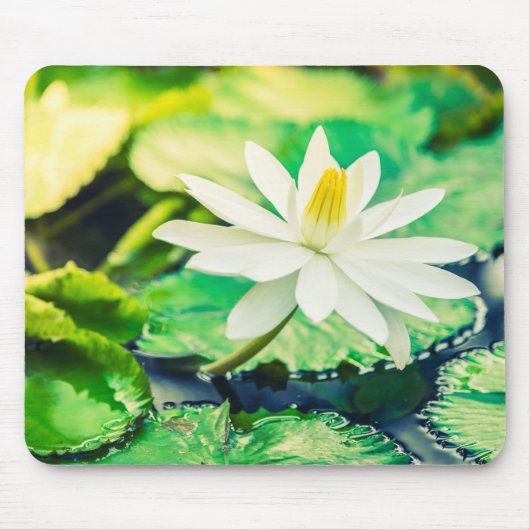 マウスパッド (正面)