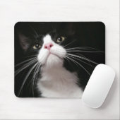 マウスパッド (マウス)