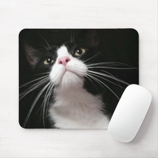 マウスパッド (マウス)