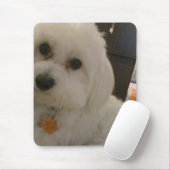 マウスパッド (マウス)