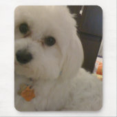 マウスパッド (正面)