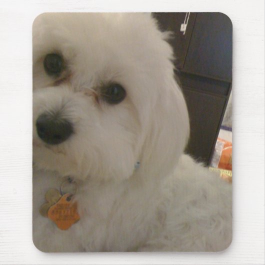 マウスパッド (正面)