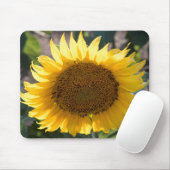 マウスパッド (マウス)