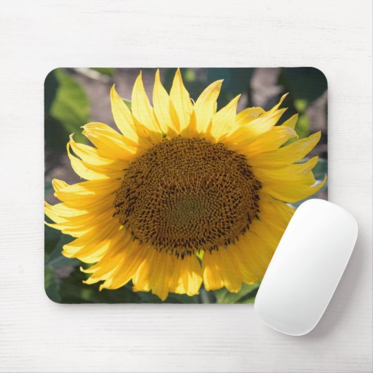 マウスパッド (マウス)