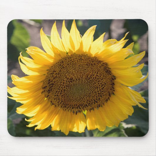 マウスパッド (正面)