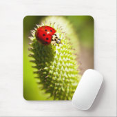 マウスパッド (マウス)