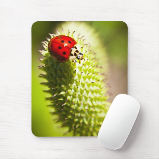 マウスパッド (マウス)