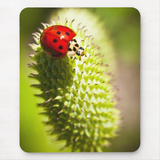 マウスパッド (正面)