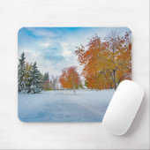 マウスパッド (マウス)