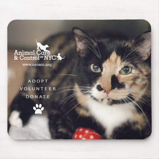 マウスパッド"さらさ" マウスパッド (正面)