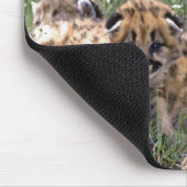 マウスパッド – イエローストーンマウンテンライオン (コーナー)