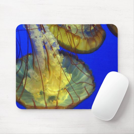 マウスパッド – クラゲ (マウス)