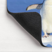 マウスパッド – ペンギン (コーナー)