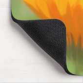 マウスパッド – 私たちは… (コーナー)