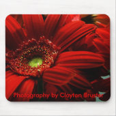 マウスパッド -- 赤い花柄 (正面)