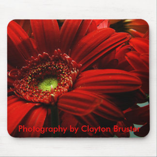 マウスパッド -- 赤い花柄