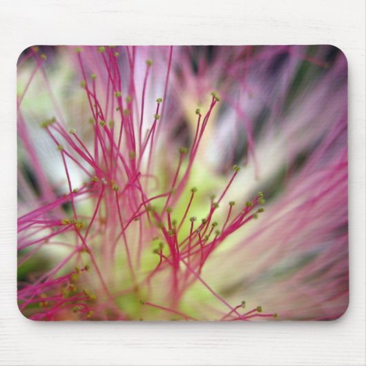 マウスパッド – Silk Tree Blossom (Mimosa Tree) (正面)
