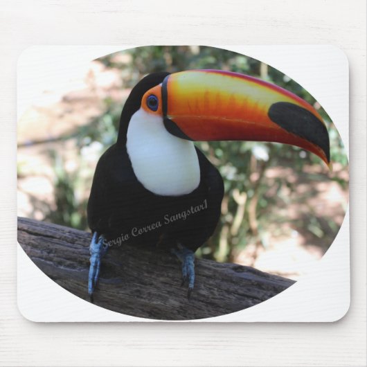 マウスパッドToucan マウスパッド (正面)