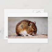 マウスプリント ポストカード (正面/裏面)