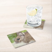 マウスプロファイル スクエアペーパーコースター (インサイチュ)