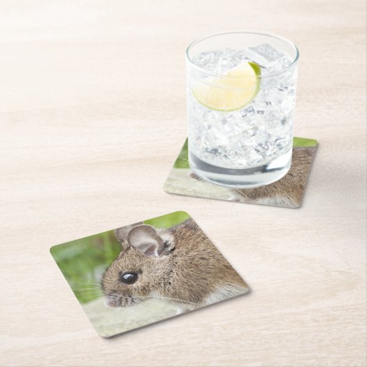 マウスプロファイル スクエアペーパーコースター (インサイチュ)