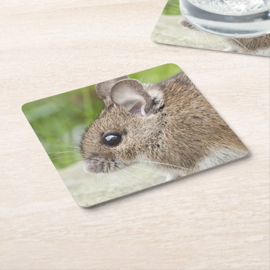 マウスプロファイル スクエアペーパーコースター (アングル)