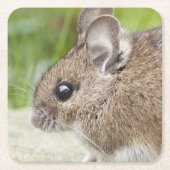 マウスプロファイル スクエアペーパーコースター (正面)