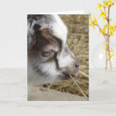 マウスベビーヤギ カード (黄色い花)