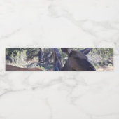 マウスボトルラベル ペットボトルラベル (シングルラベル)