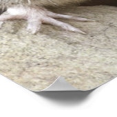 マウスポートレート ポスター (角)