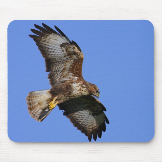 マウスマット肉食鳥 マウスパッド (正面)